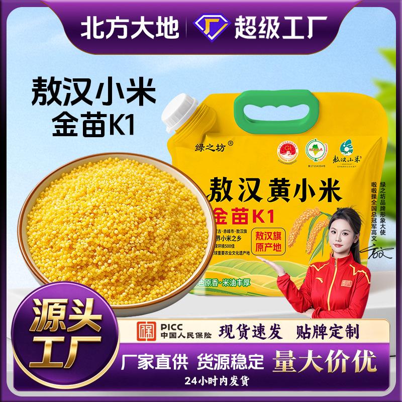 [New Rice Crop for 2026] New Ao Han Yellow Millet from Chifeng, Farm-Produced Grains and Cereals for Cooking Porridge