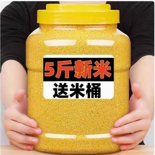Northeast Specialty Yellow Millet Non-2.5kg Farm Grains Millet New Rice Wholesale Bulk Golden Seed Millet K1 Coarse
