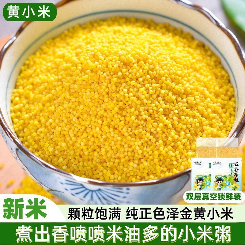 Yellow millet new crop 100g/500g authentic millet with high oil content, small yellow millet, whole grain, mixed grain, millet porridge, millet with high oil content