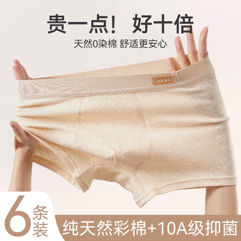 Men's Underwear Pure Cotton Type a Cotton High-End 10A Antibacterial Boxer Briefs Men's 100% Cotton Crotch Shorts