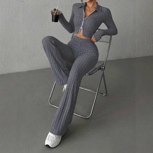 Cross-Border Autumn and Winter New European and American Style Women's Short Long-Sleeved Zipper Fashion Casual Sweatshirt Jacket Pants Suit