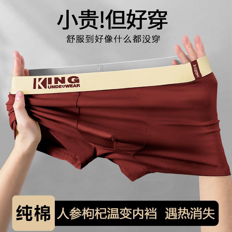 Men's Underwear, Men's Pure Cotton Antibacterial Boxer Briefs, 2026 New Style, Breathable Boxer Shorts for Teenagers and Boys